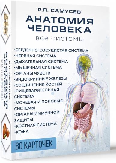 Анатомия человека. 80 карточек. Все системы