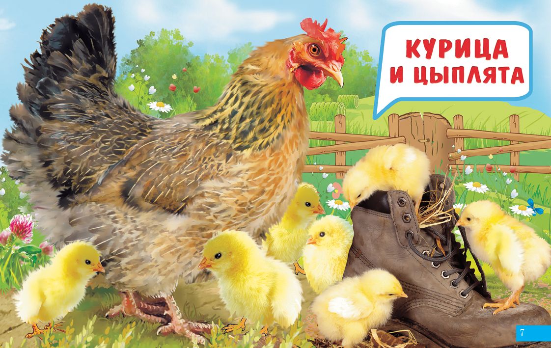 Карточки. Мамы и детки ; Карточки. Мамы и детки