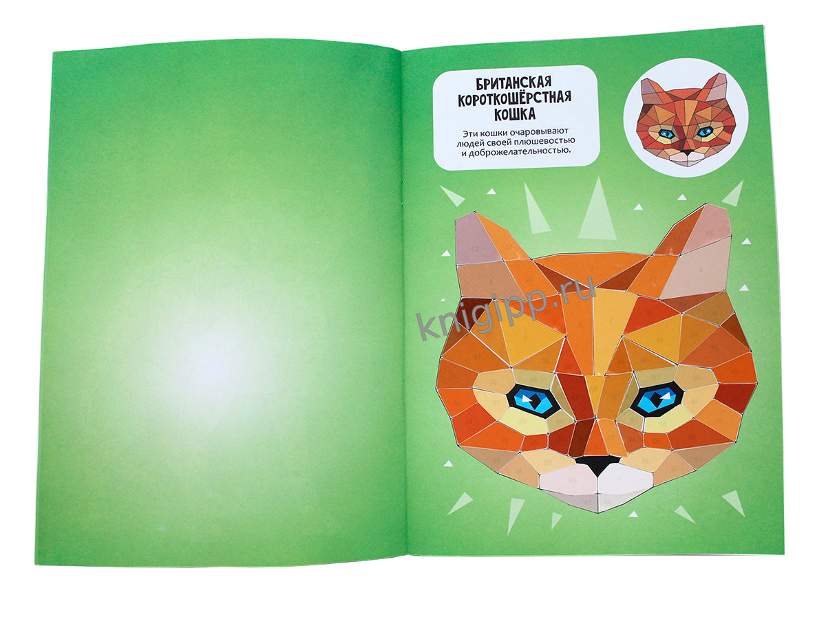 РАСКРАСЬ НАКЛЕЙКАМИ ПО НОМЕРАМ. КОШКИ