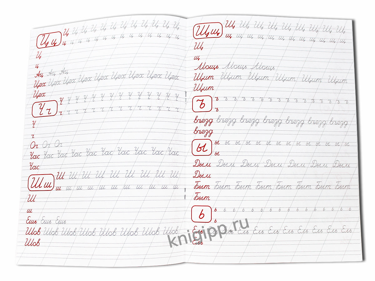 Description calligraphique de l'anime. ПИШЕМ БУКВЫ ПРАВИЛЬНО