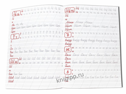 Description calligraphique de l'anime. ПИШЕМ БУКВЫ ПРАВИЛЬНО