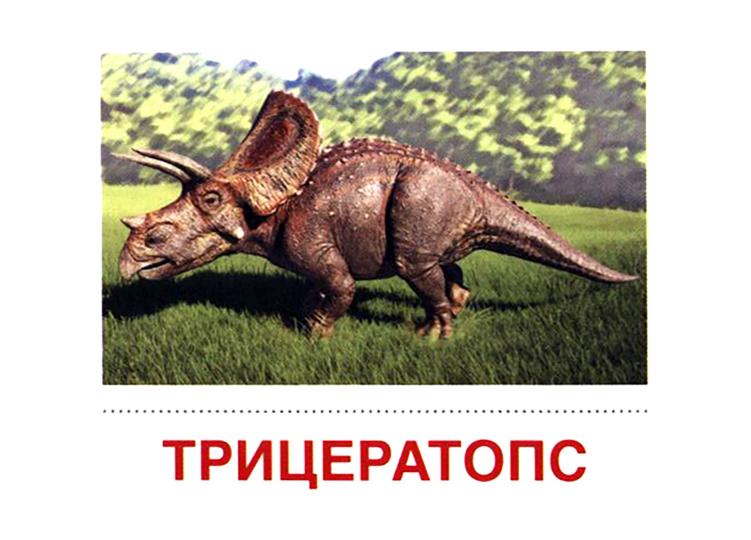 Дем. картинки СУПЕР Динозавры. 16 раздаточных карточек с текстом на обороте (учебно-методическое пособие с комплектом демонстрационного материала 63х87 мм, познавательное и речевое развитие)