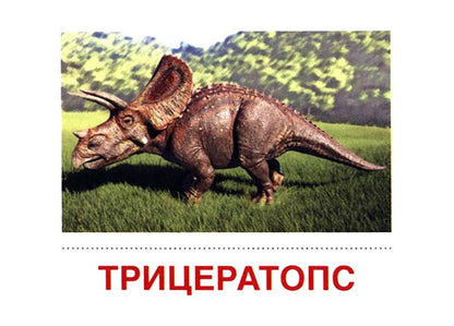 Дем. картинки СУПЕР Динозавры. 16 раздаточных карточек с текстом на обороте (учебно-методическое пособие с комплектом демонстрационного материала 63х87 мм, познавательное и речевое развитие)