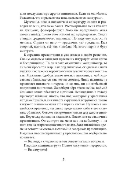 Заноза для шейха