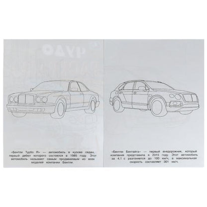 Bentle. Чудо-раскраска. 214х290 mm. Скрепка. 8 pièces. Ouais. en cor.50шт