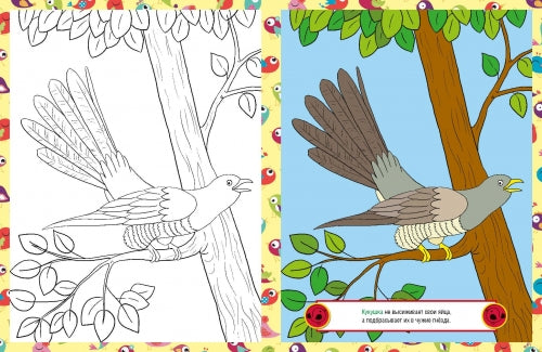 Птицы. Детская раскраска