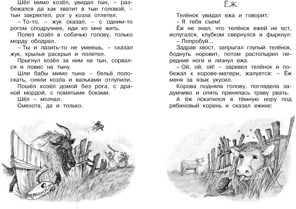Сорочьи сказки
