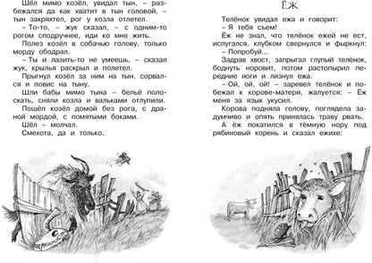 Сорочьи сказки