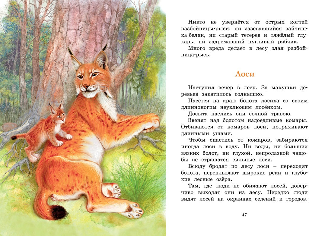Год в лесу. Рассказы о природе