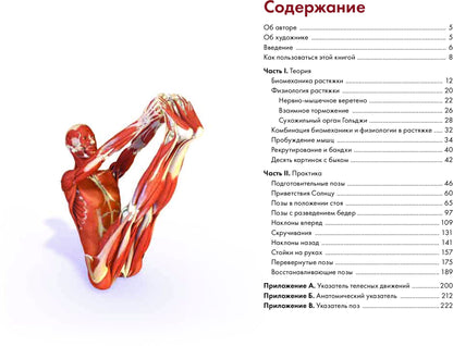 Ключевые позы йоги