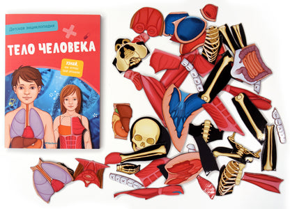 Тело человека. Детская энциклопедия (нов.оф.) (в коробке)