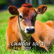 Упражнение для синхрониста. Цветуща вишня. Самоучитель устного перевода с английского языка на русский