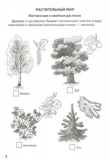 Знакомимся с окружающим миром (для детей 5-6 лет) ; Знакомимся с окружающим миром (для детей 5-6 лет)